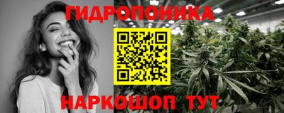 гидра Вышний Волочёк