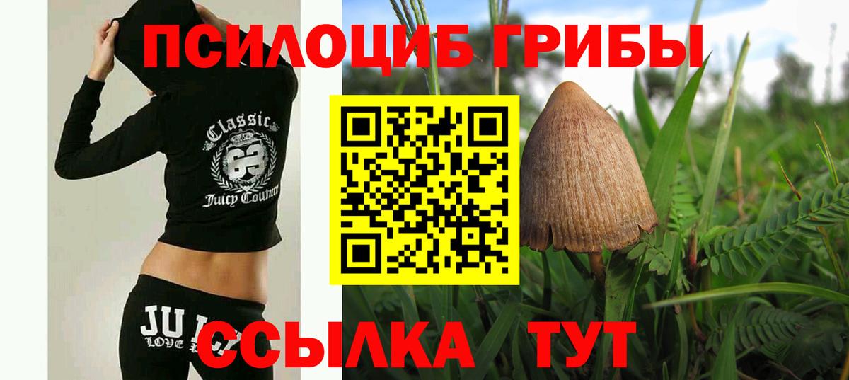 Галлюциногенные грибы ЛСД Советская Гавань